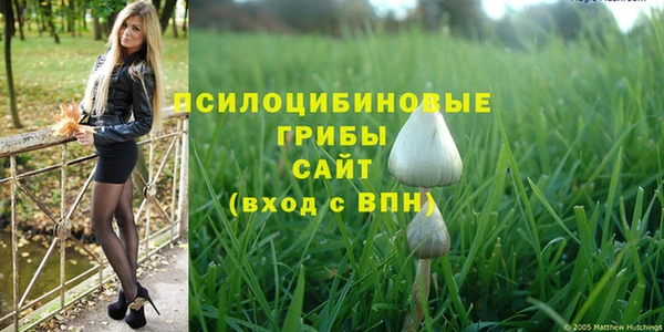 героин Абаза