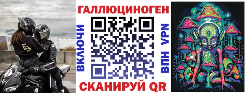 Псилоцибиновые грибы Psilocybe  Суоярви 